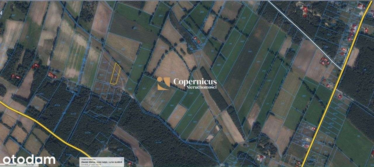 Działka w malowniczej okolicy z warunkami zabudowy - Pełny obrazek: 4/4