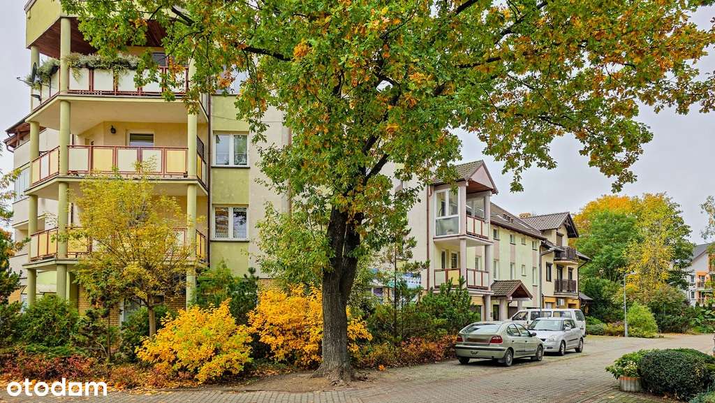 Wysoki parter | 52,9 m² | loggia | Złotów-16