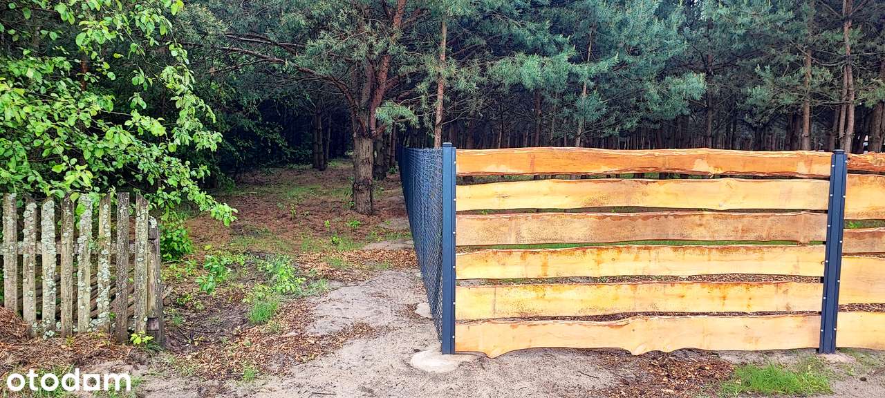 Rzadkość na rynku, działka 2,5ha otoczona lasem w miejscowości Kamień - Pełny obrazek: 4/20