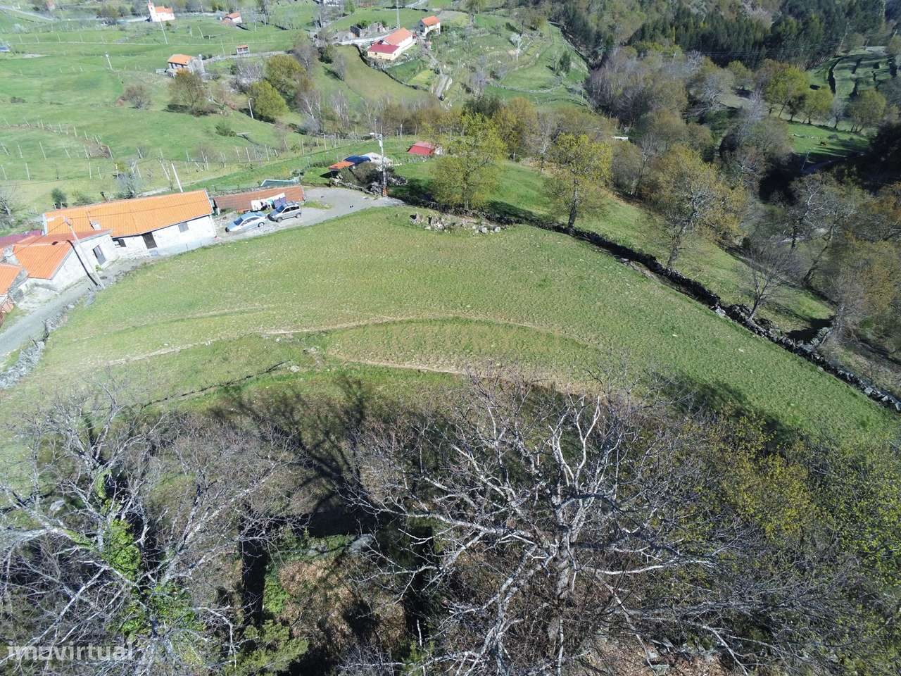 2 Terrenos um com 3.500m2  para construção e outro 1500m2  zona Gerês - Grande imagem: 3/24