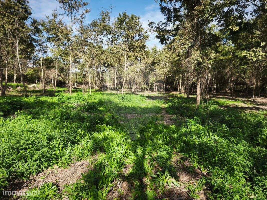 Quinta T0 para venda - Grande imagem: 5/19