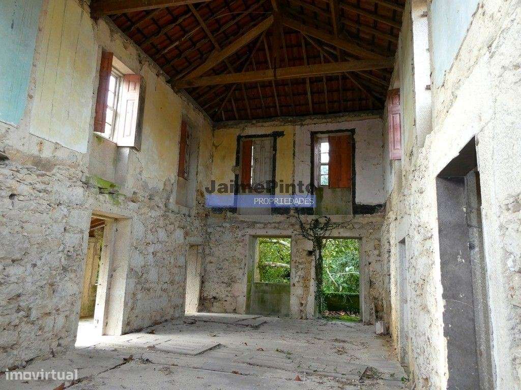 30.000m2, quinta contígua Rio Lima, Viana do Castelo. Portugal, Nor... - Grande imagem: 5/9