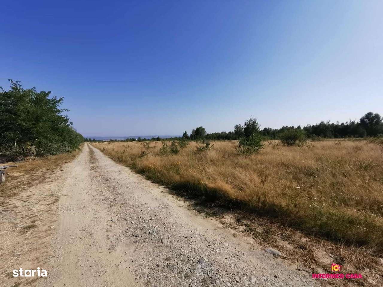 Teren in localitatea Cartisoara - Imagine principală: 3/8