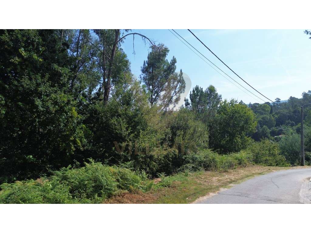 Terreno 4 086 m² - Rebordões Santa Maria - Ponte de Lima - Grande imagem: 5/9