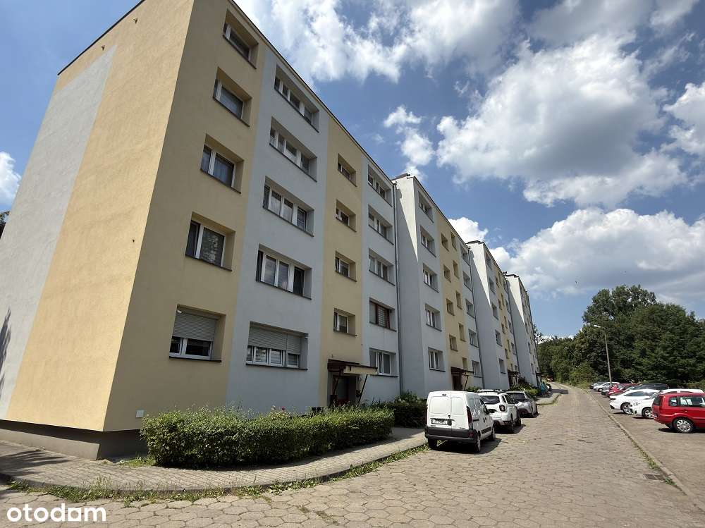 Mieszkanie położone bezpośrednio przy Parku Śląskim!!!!-8