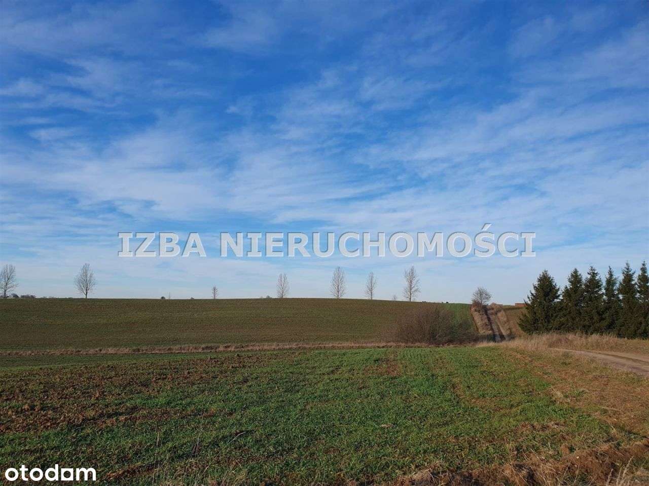 Działka, 3 000 m², Wiśniowo Ełckie-7