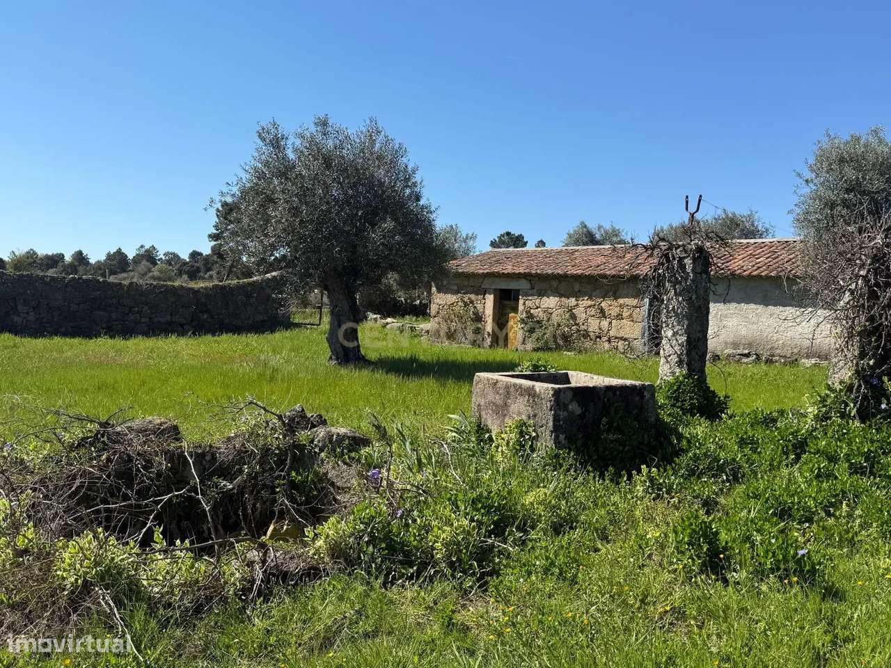 Fantástica Quinta com construção em pedra - Grande imagem: 3/27