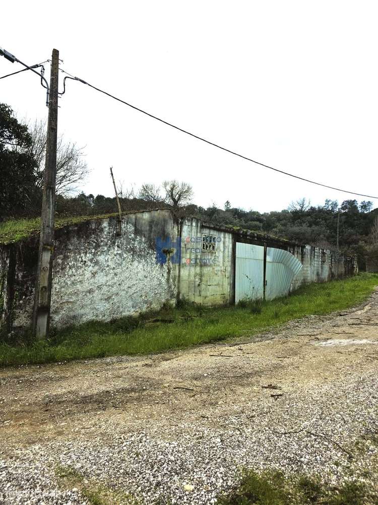 Misto de terrenos urbanos e rústicos na Zibreira, Torres Novas. - Grande imagem: 4/17
