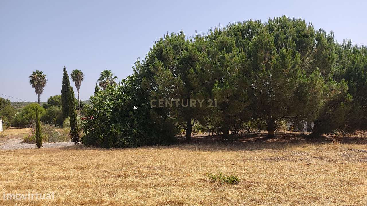 Encantadora Casa em Vala, Silves - Oportunidade Única!-26