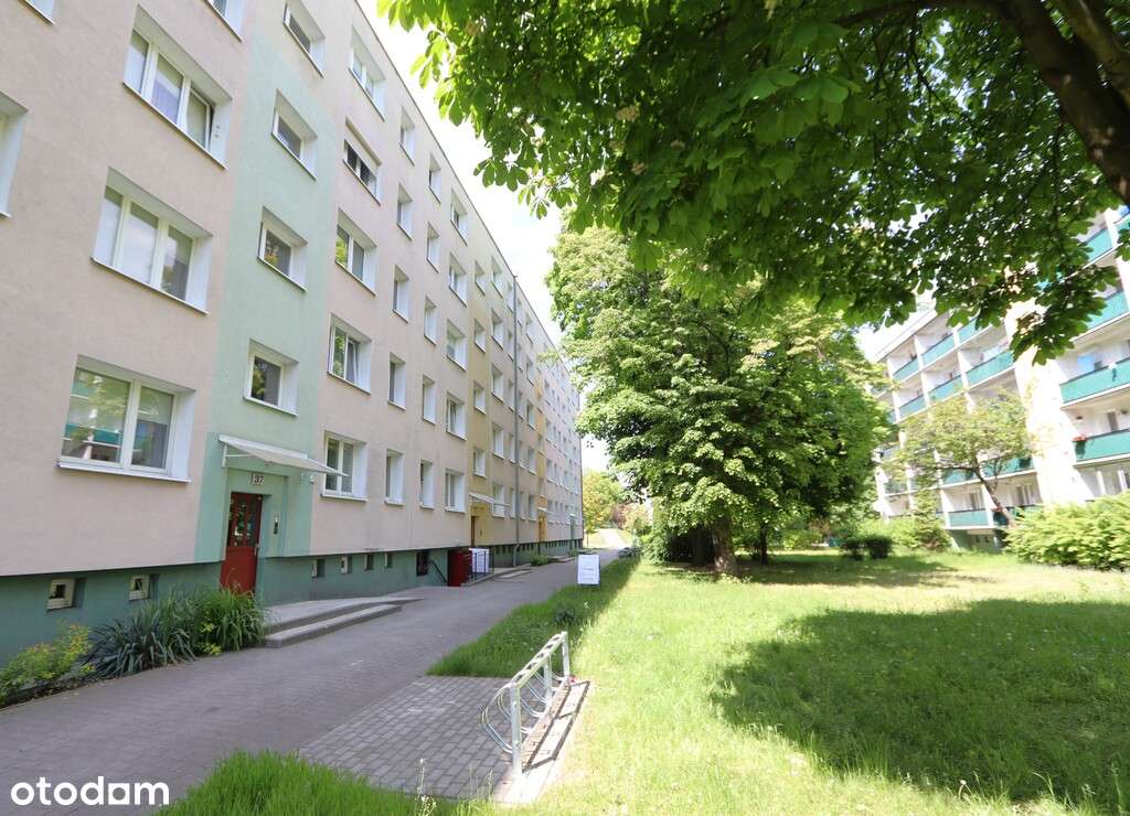 3 niezależne pokoje z kuchnią - os. Oświecenia-10