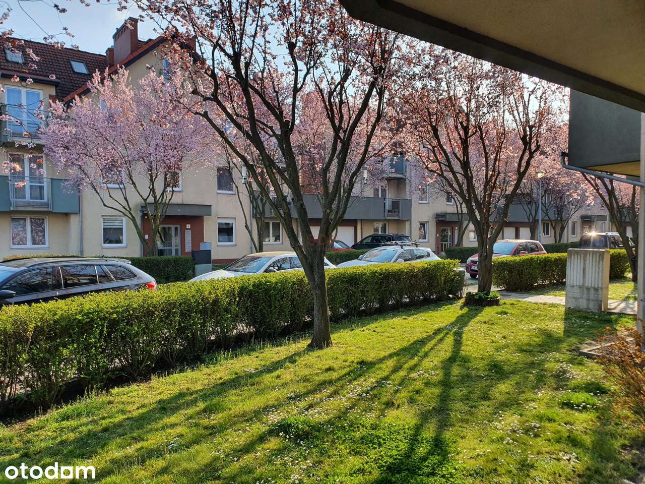 3 pokoje/ 3 balkony/ 2 poziomy/ Bielany Wrocławskie - Pełny obrazek: 2/9