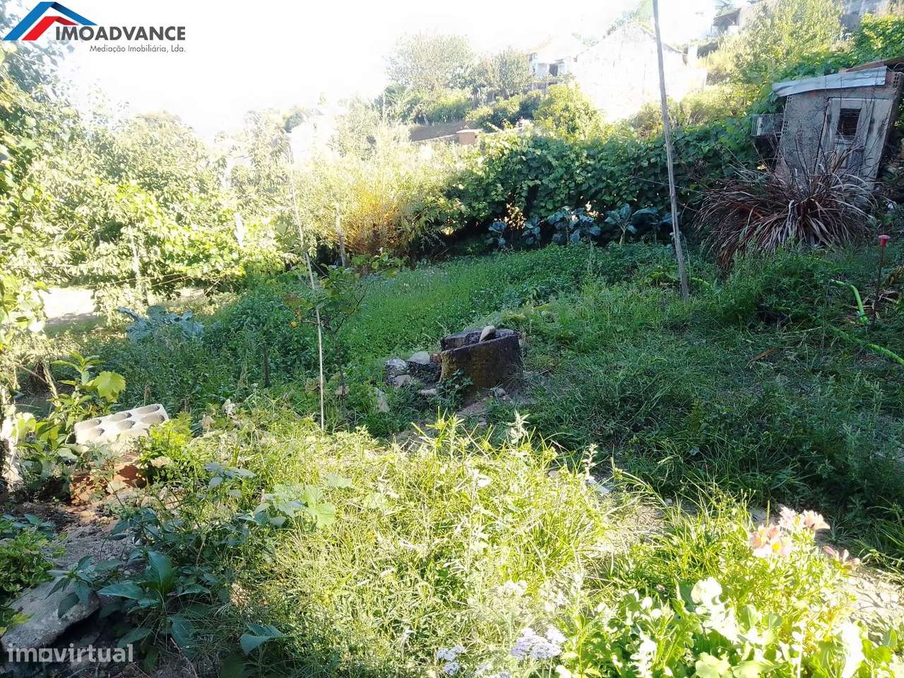 Casa para Recuperar com Terreno e Lagar em Lorvão, Penacova, Coimbra-25