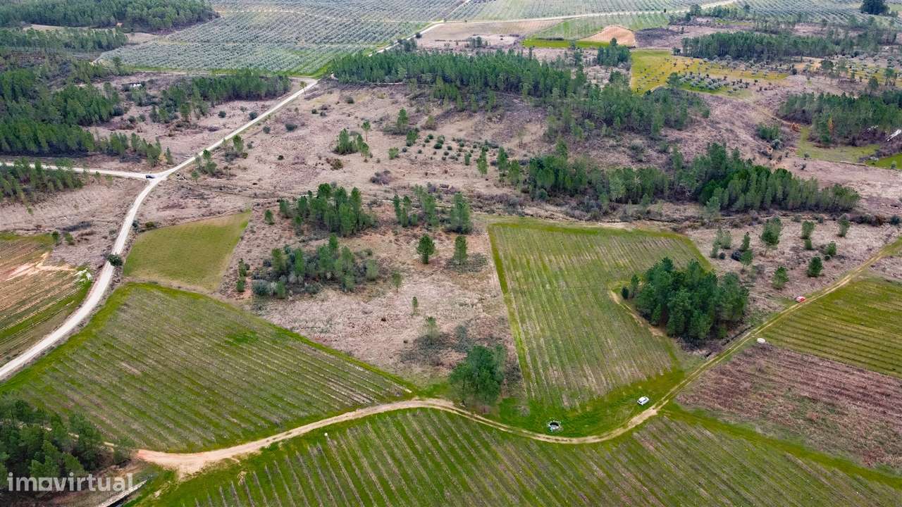Quinta T0 Venda em Sarzedas,Castelo Branco-5