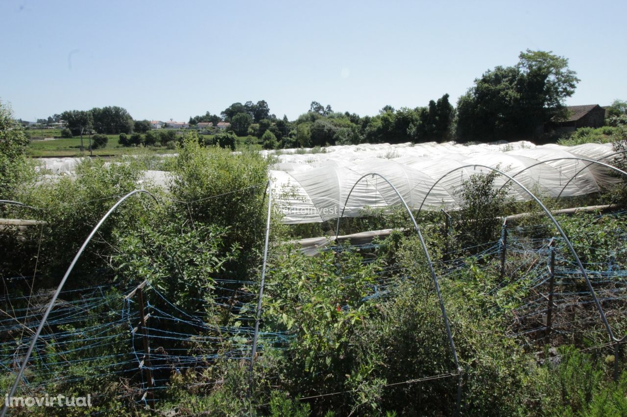 Terreno Agrícola com área total de 16.000M2 na freguesia de Esmeriz -