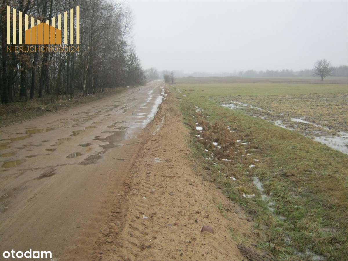 Warto !!!!!!!! Dobra lokata kapitału . - Pełny obrazek: 4/4