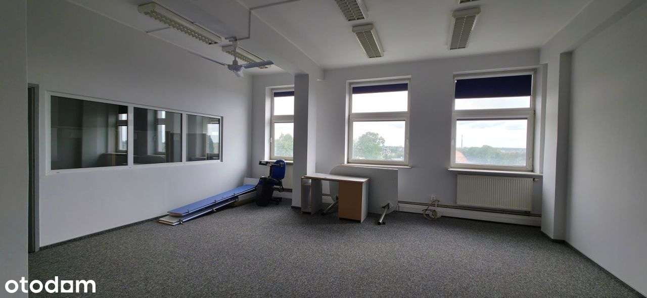 Lokal użytkowy, 244 m², Kutno - Pełny obrazek: 5/17