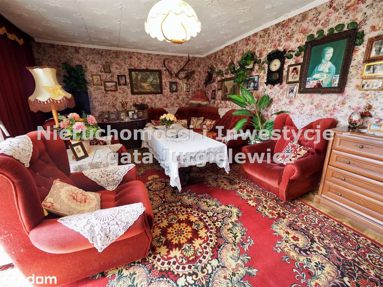 Agroturystyka, stadnina koni, gospodarstwo rolne!-5