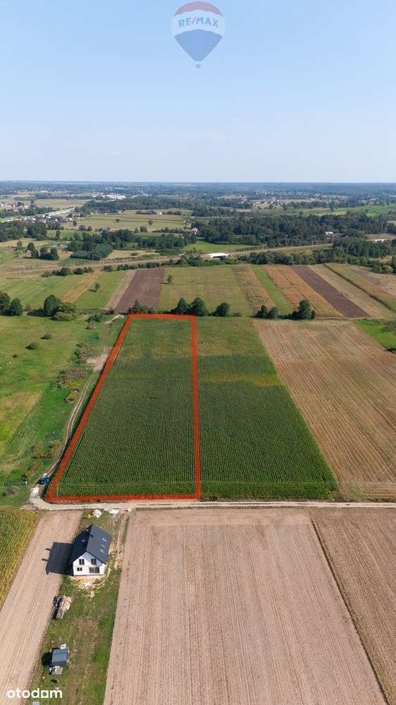 Działka siedliskowo-rolna 1ha – Rębków k/Garwolina - Pełny obrazek: 4/5