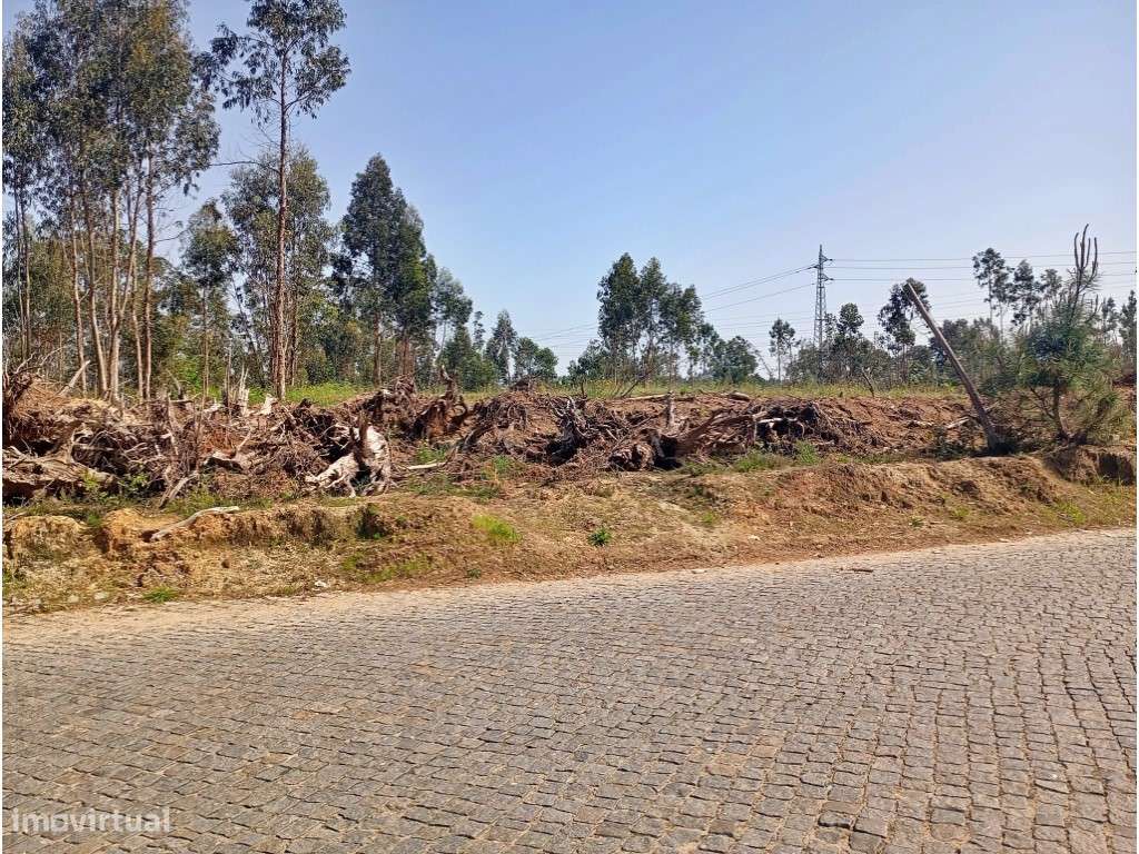 Terreno com 8000m2 para Habitação - Gaia - Grande imagem: 5/8