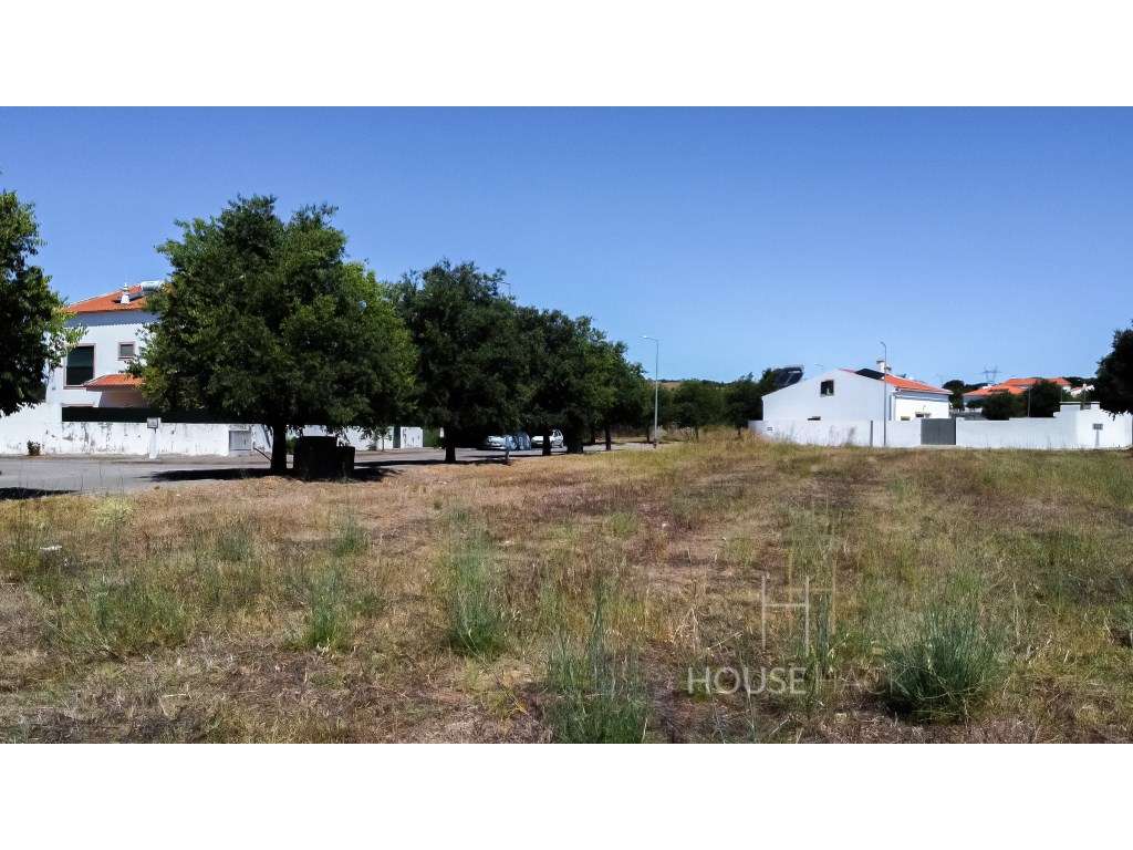 Lotes para construção no Baixo Alentejo - Alvito-12