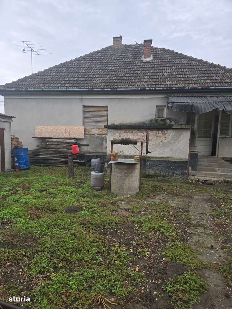 Casă Botiz-8