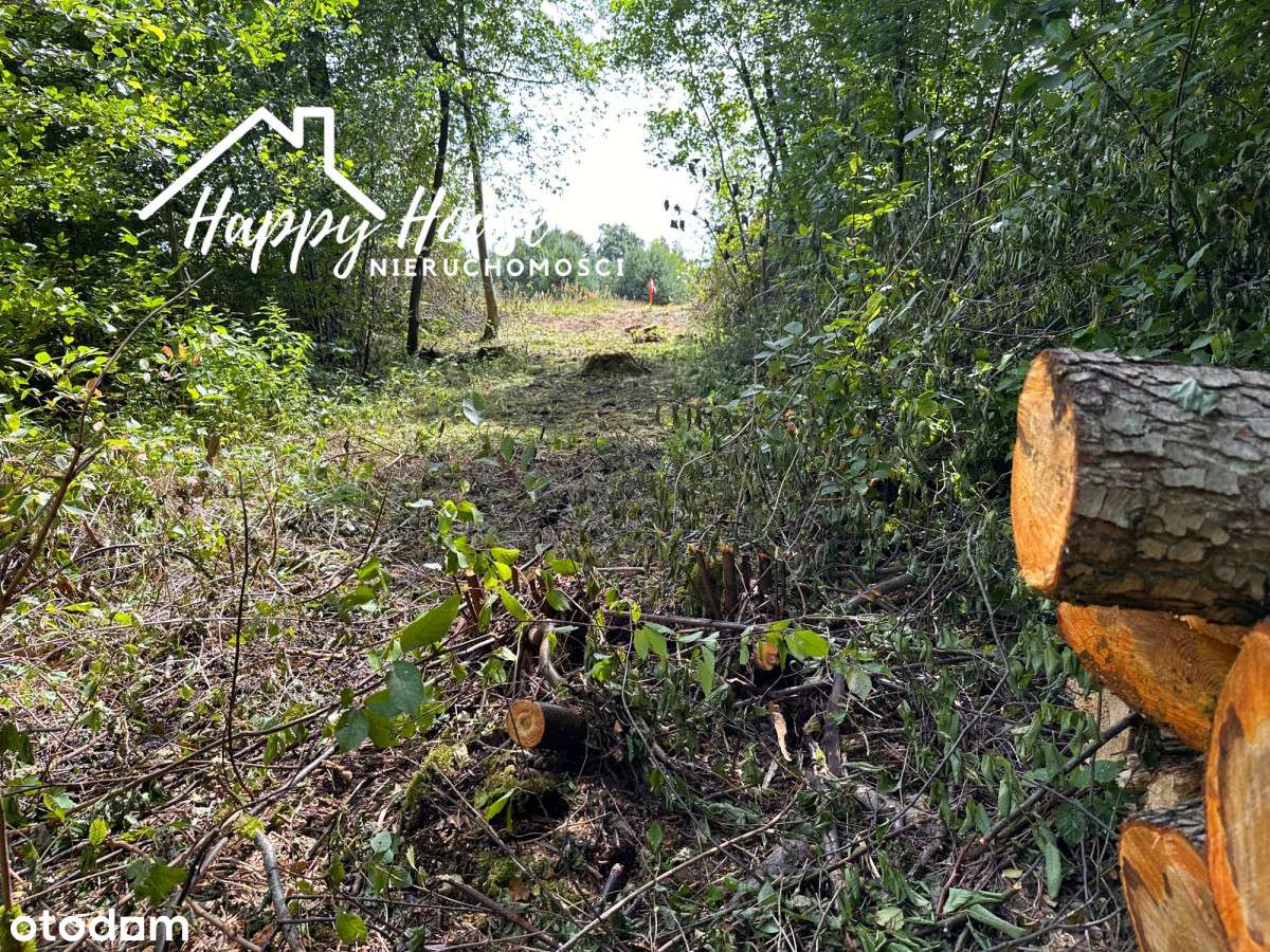 Działka nad rzeką Brdą-WZ na płaski dach-4