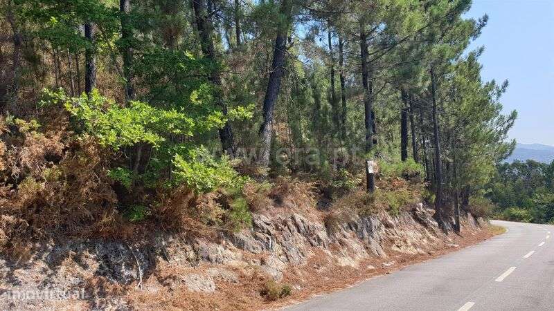 Terreno / Marco de Canaveses, Penhalonga e Paços de Gaiolo - Grande imagem: 3/4