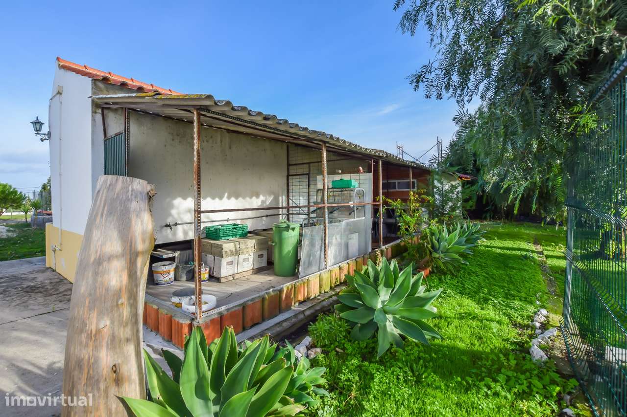 Moradia T3 em Carril - Torres Novas-12