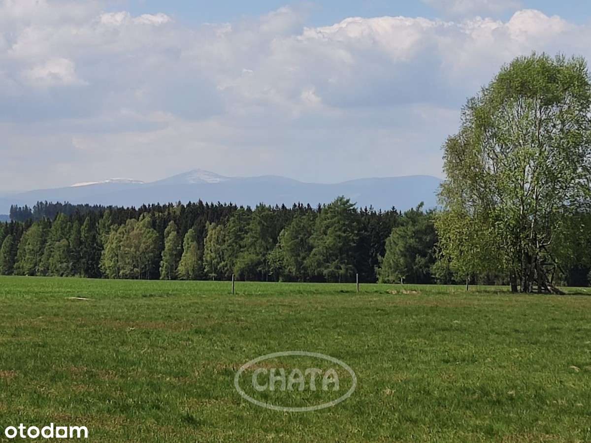 Mieroszów - Działka Rolna - Pełny obrazek: 5/9