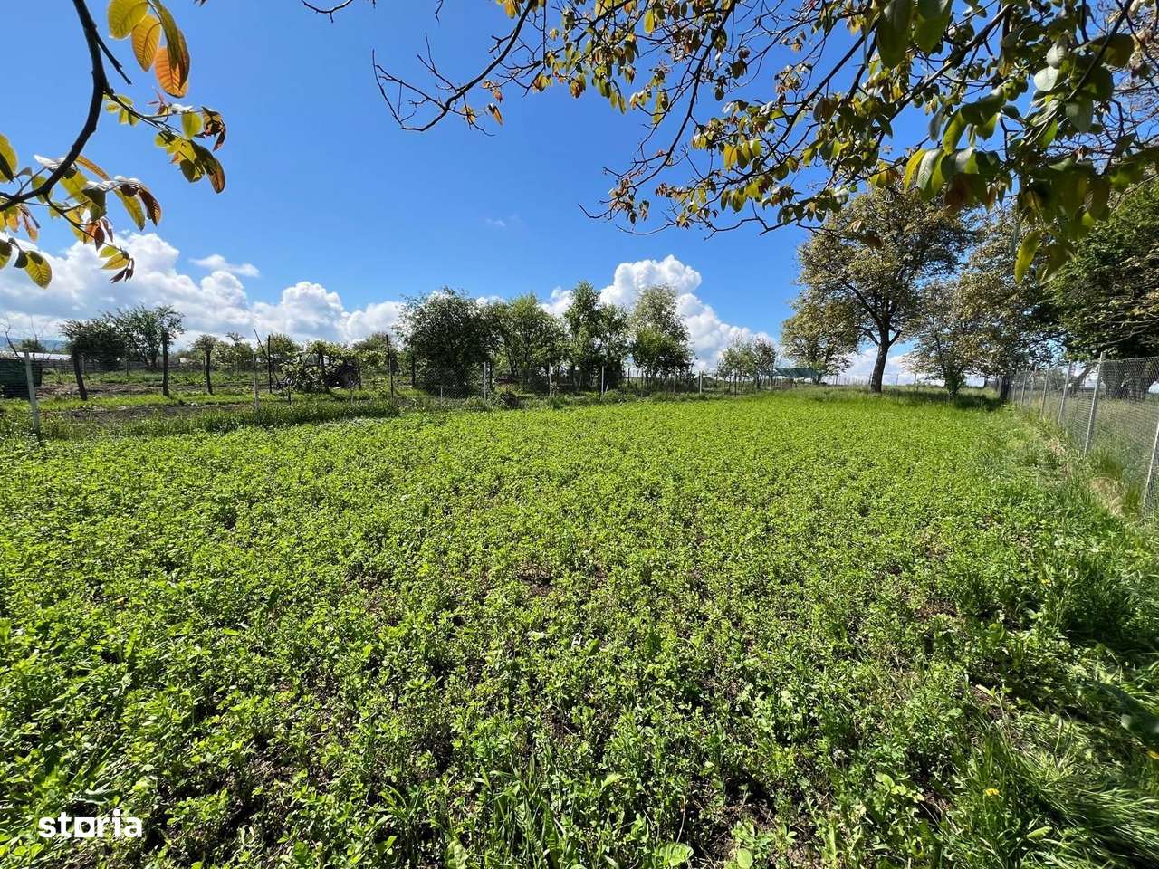 Casa 6 camere - teren 1700 mp, curte+gradina - Rosia - Imagine principală: 1/11