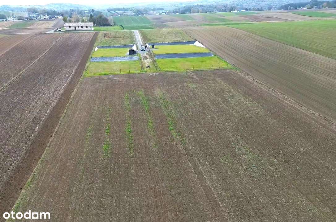 Działka, 1 160 m², Będzienica - Pełny obrazek: 2/4