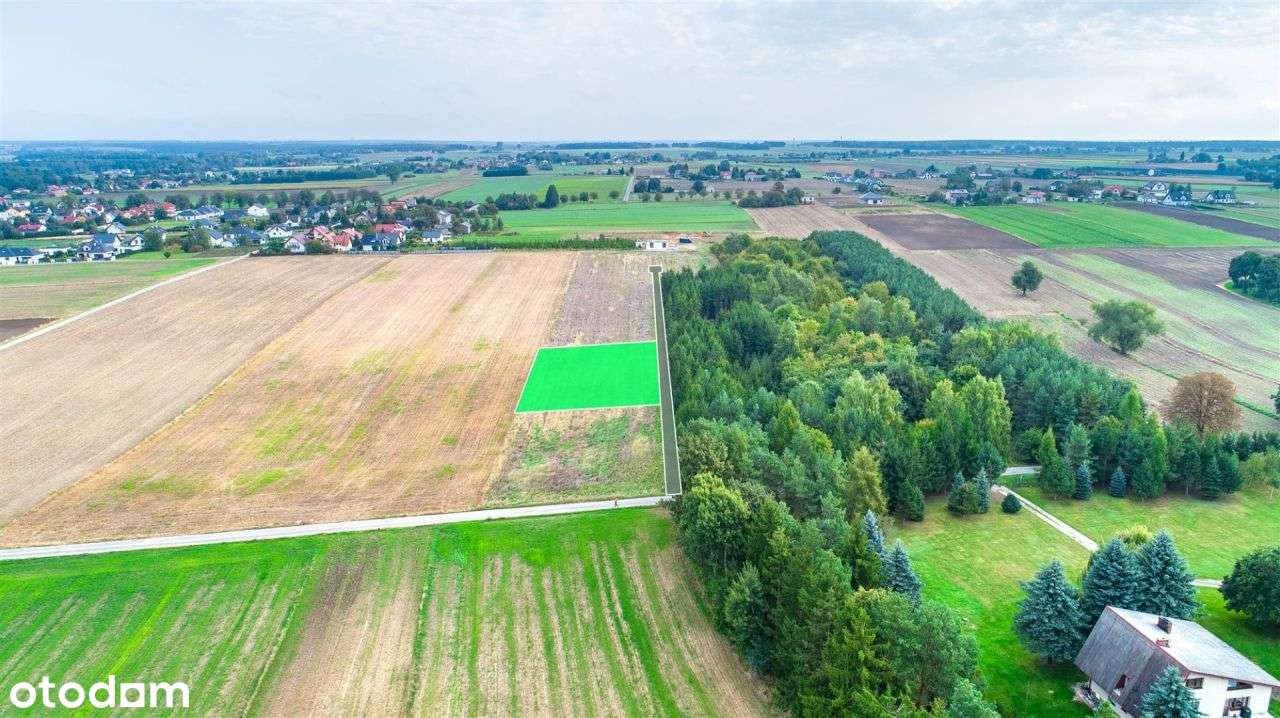 Działka 16 ar, blisko centrum, obok zagajnika - Pełny obrazek: 4/4