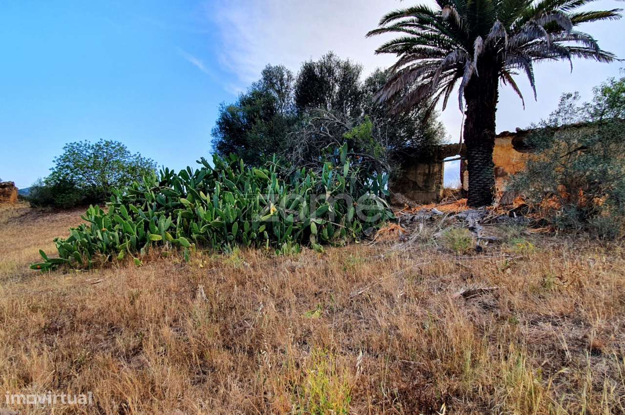 Excelente Terreno com 3 Ruínas para Reconstruir - Grande imagem: 4/21