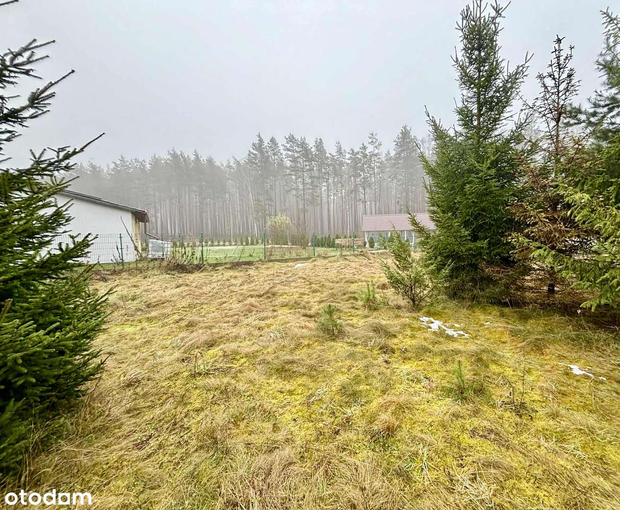 Pięknie położona działka wśród jezior i lasów-7