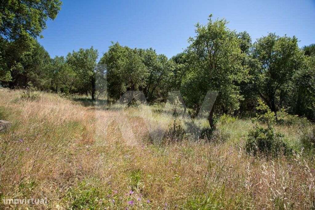 Terreno para construção com 29.169m2 na Ameixoeira, Aveiras de Cima - Grande imagem: 5/25