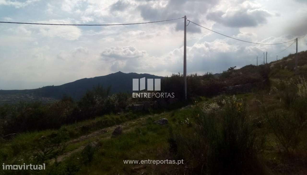 Venda Terreno com 6400m2, Gestaçô, Baião - Grande imagem: 5/17