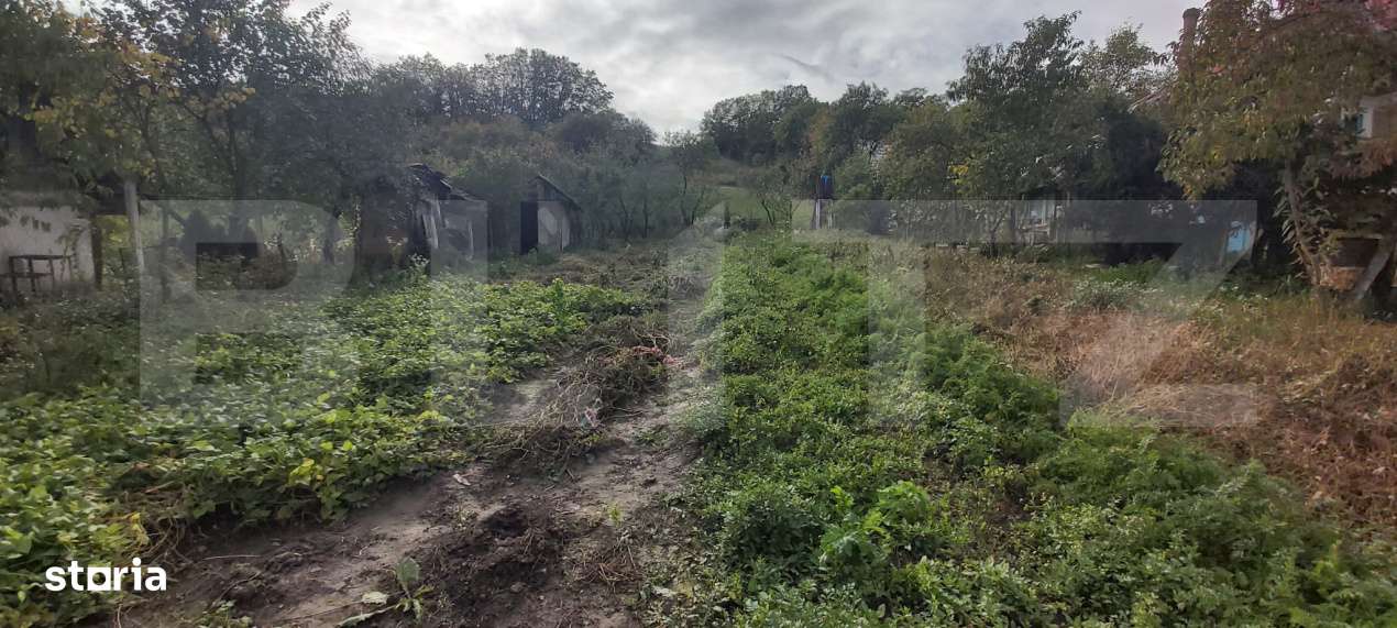 Casa de vanzare, 3 camere, 4663 mp teren, CF, Sat Barai - Imagine principală: 5/14