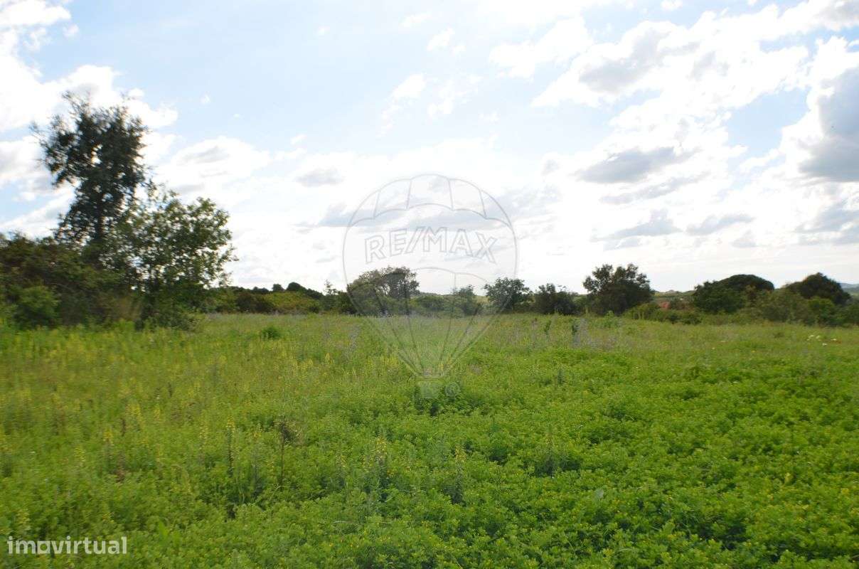 Terreno  para venda - Grande imagem: 5/11