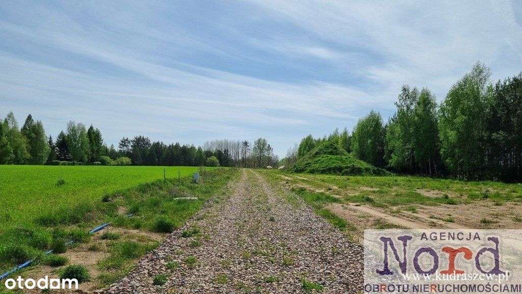 Działka z linią brzegową 66 M jeziora Dąbiel-4