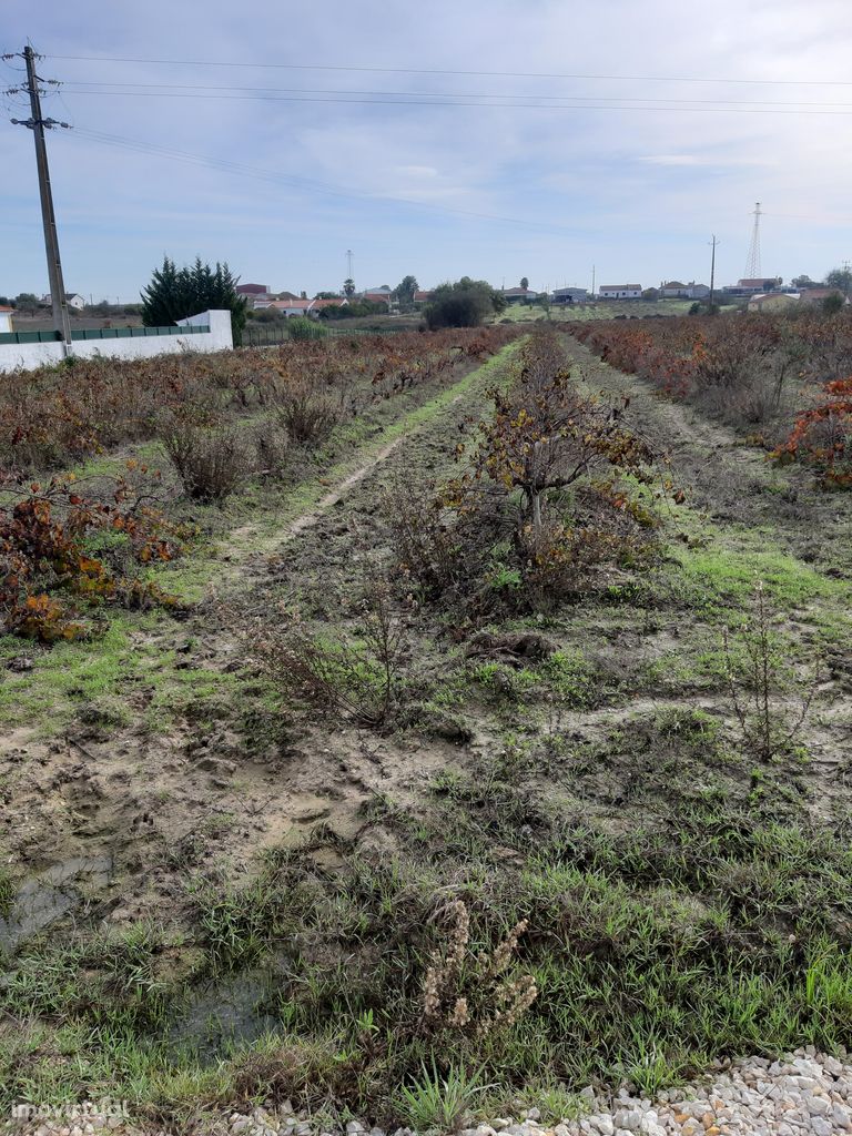 Terreno em Foros de Almada