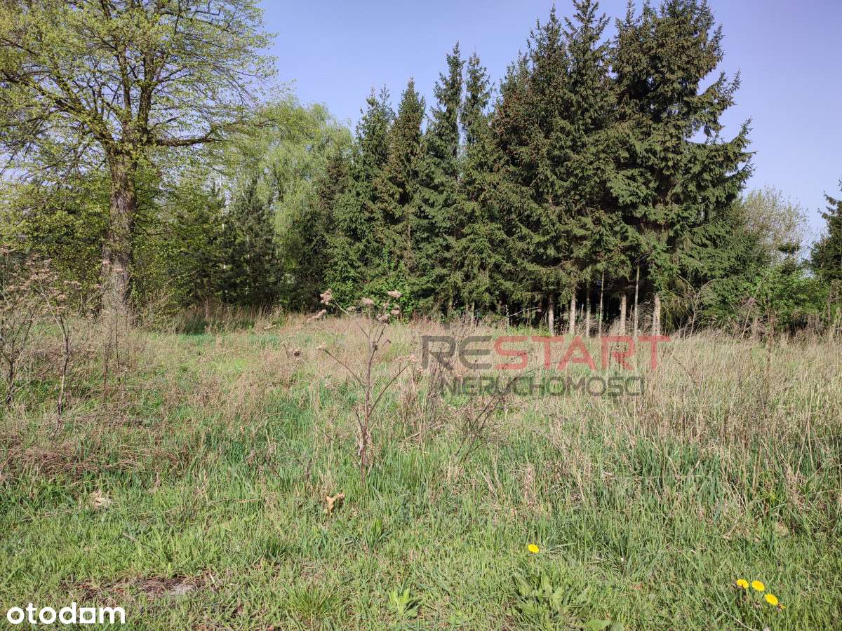 Duża działka z potencjałem ! - Pełny obrazek: 5/9
