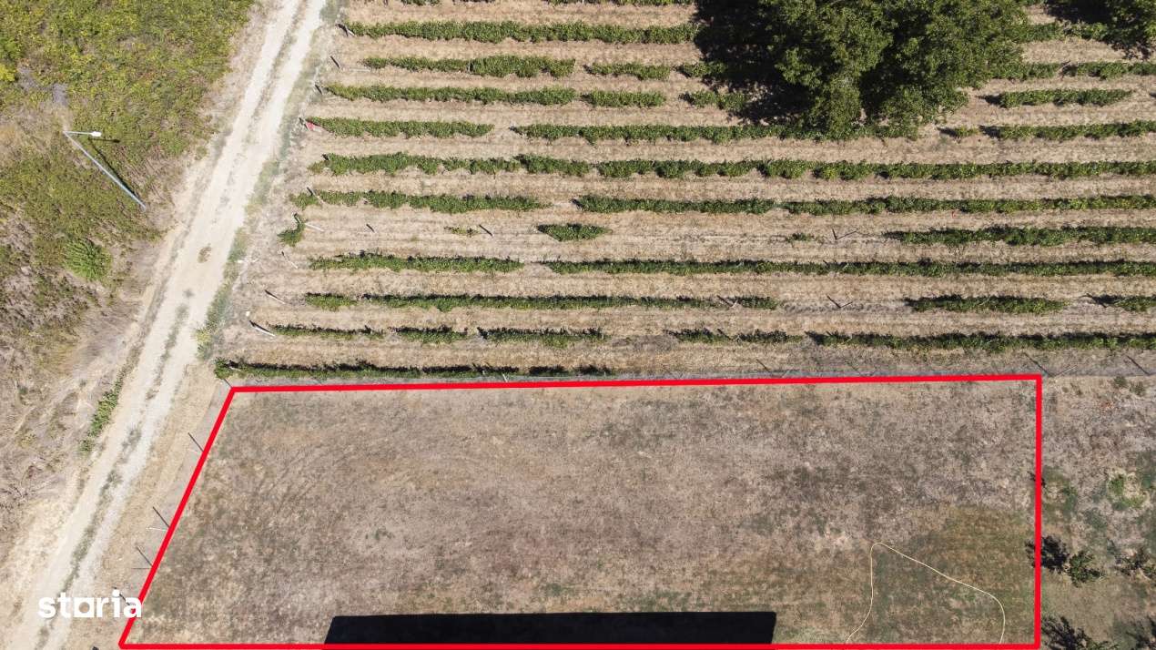 Teren de vanzare intravilan Pelendava,500 mp, toate utilitatile-3