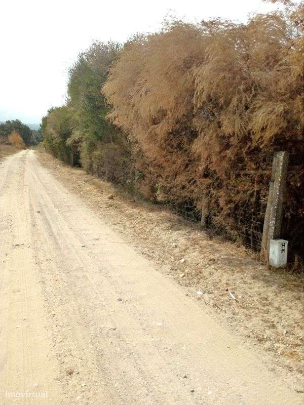 Palmela Terreno rústico com 6150 m2 vedado. - Grande imagem: 5/8