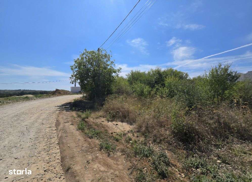 Teren Paleu Intravilan - Imagine principală: 3/6