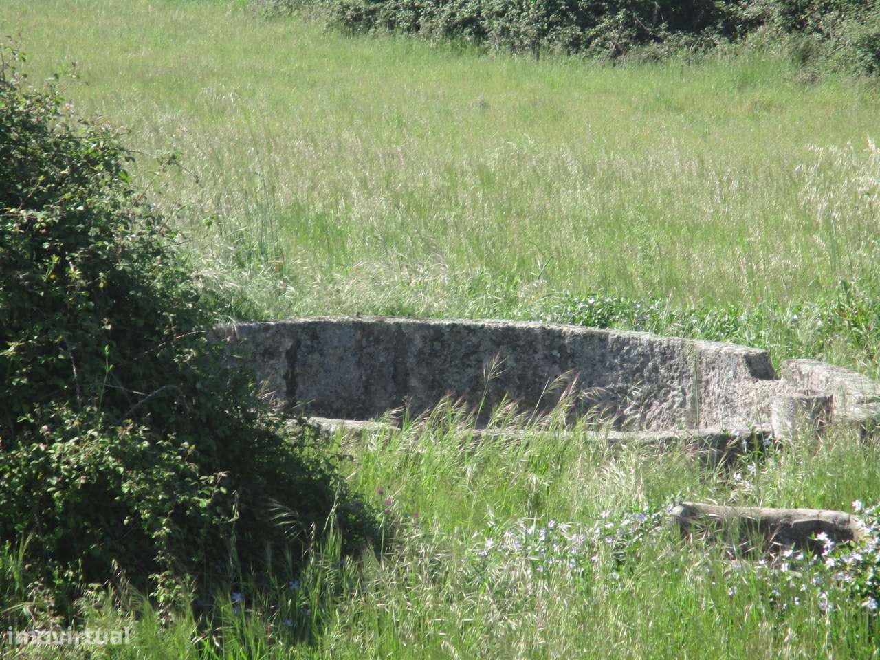 Quinta com habitação, poço, sobreiro, casa-11