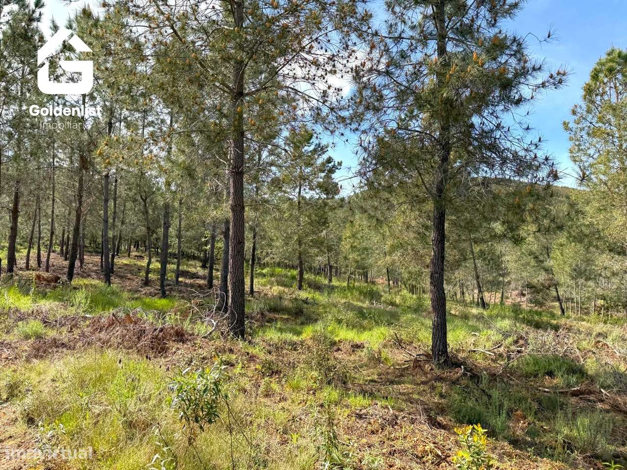 Herdade  Venda em Penamacor,Penamacor-11