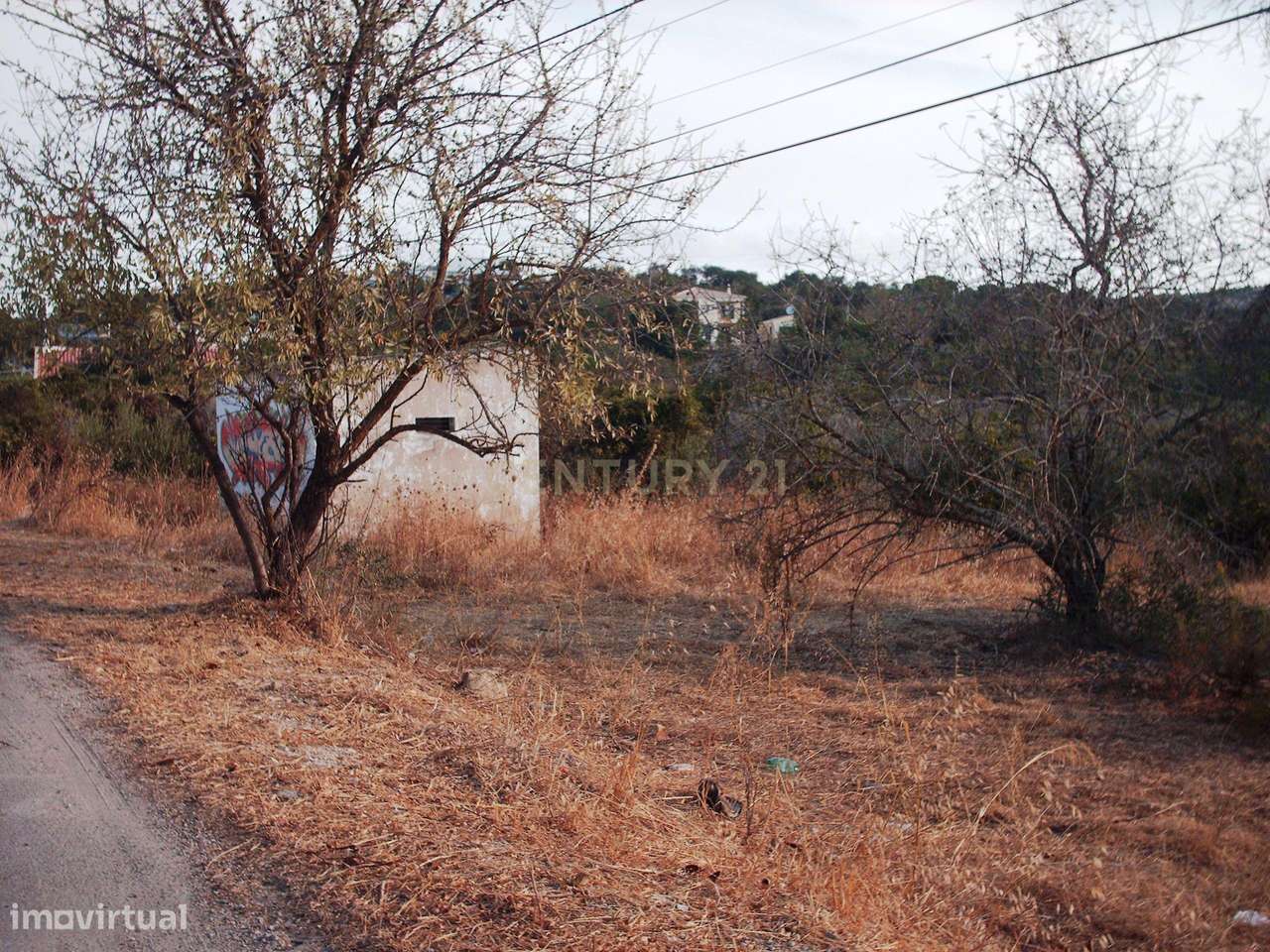 Terreno 4 hA c/ água - Grande imagem: 5/8