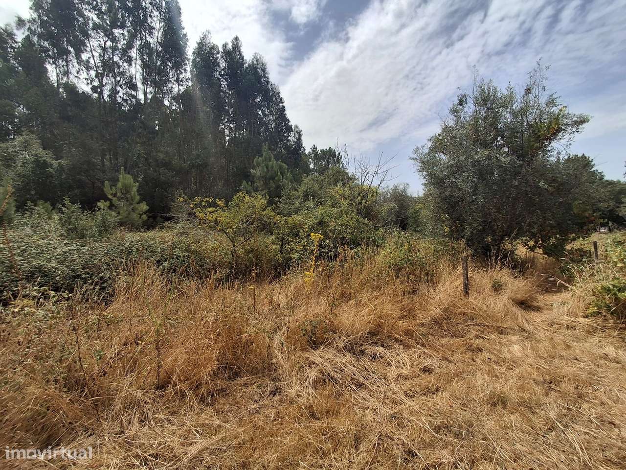 Terreno rústico em Pussos São Pedro, 4880 m² - Grande imagem: 5/16