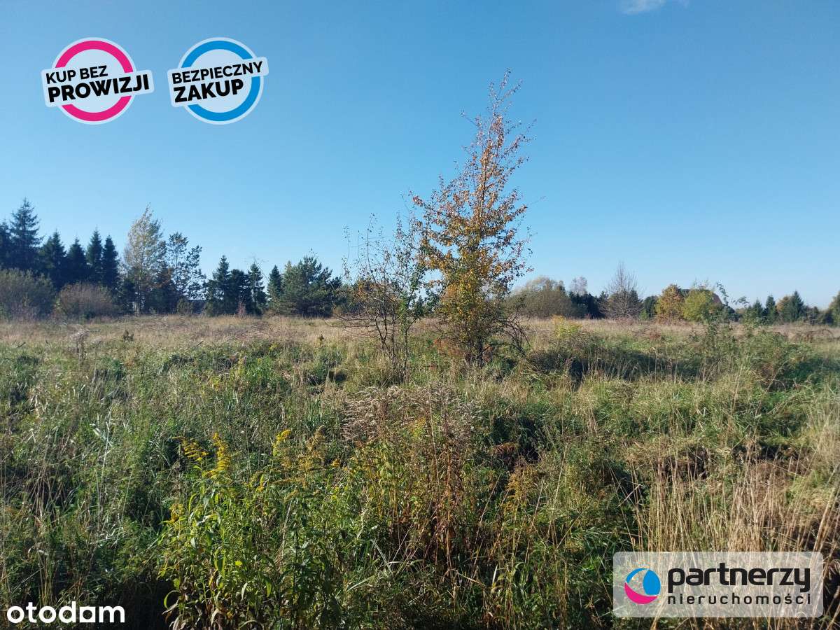 Działka 1,5ha pod zabudowę jednorodzinną - Pomlewo - Pełny obrazek: 5/10