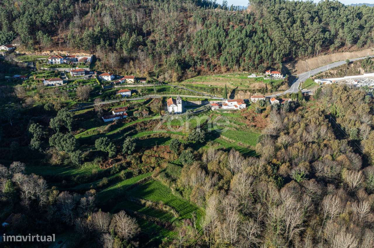 Quinta Sto Estevão - Arouca - Grande imagem: 3/18